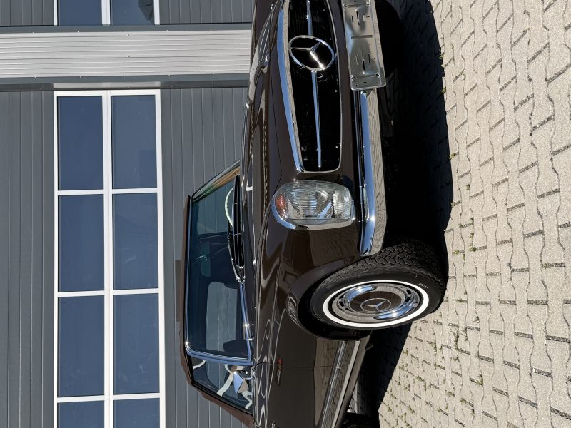 Mercedes Benz 280 SL Pagode Lackschutzfolie – Bild 1